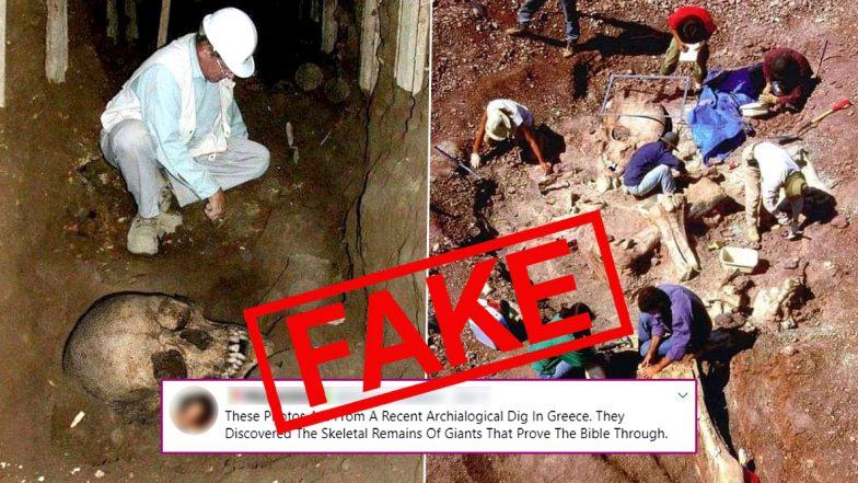 Skeletal Remains of Giants Uncovered in Recent Archaeological Dig in Greece Are Fake! Know Truth About These Old Pics That Have Resurfaced Online