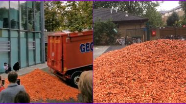 Goldsmiths University Campus Justify 29 Tonnes of Carrot Dumped as 'Art' Installation, But People Are Unconvinced; Watch Viral Videos of 'Orange Tsunami'