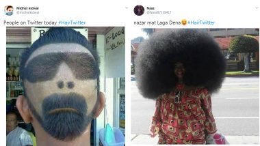 HairTwitter Funny Memes and Pics Trend Online as Netizens Take Part in  Latest Twitter Trend to Show Off Their Cool Hairstyles! | 👍 LatestLY