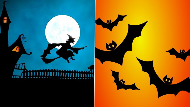Halloween Bat Spooky - Free GIF on Pixabay - Pixabay