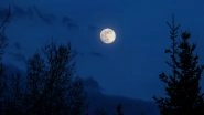 Hunter's Blue Moon 2020 Timings and How to Watch: Know All Details About Rare Full Moon Which Rises on Spooky Halloween Night
