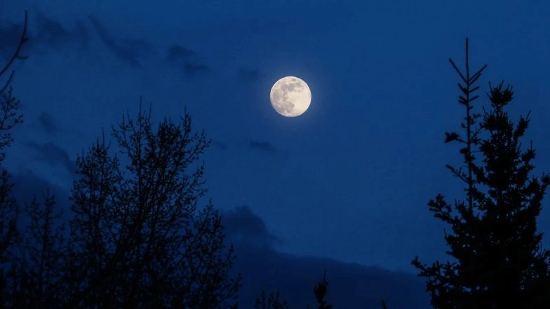 Hunter's Blue Moon 2020 Date, Timings and How to Watch The Full Moon on Halloween Night