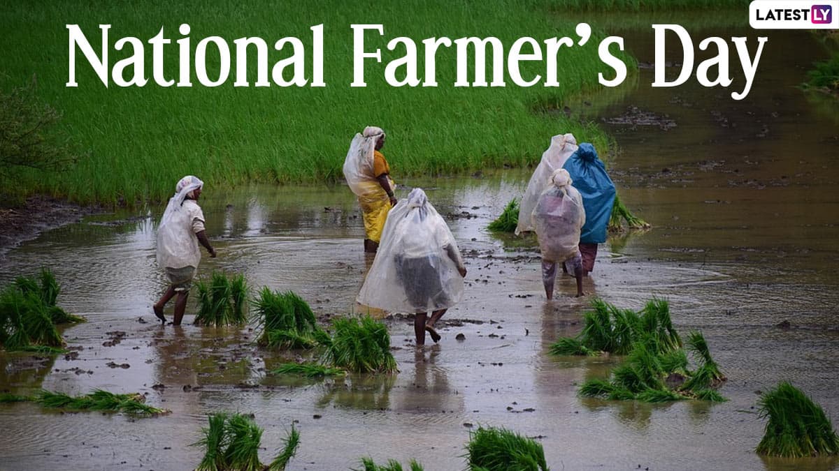 Happy National Farmer's Day 2020 HD Images and Wallpapers For Free