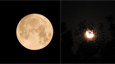 Harvest Moon 2020 Photos And Video: Gorgeous Full Moon Graces the Night Skies in October