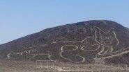 Huge Cat Found Carved in Nazca Desert in Peru! Know More About Nazca Lines Which Has One of 'The Ancient Mysteries of The World' (Watch Video)