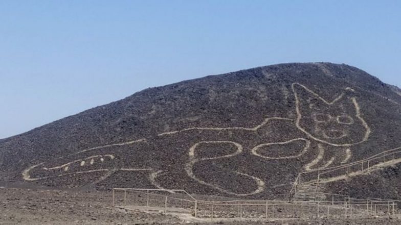 Huge Cat Found Carved in Nazca Desert in Peru! Know More About Nazca Lines Which Has One of 'The Ancient Mysteries of The World' (Watch Video)