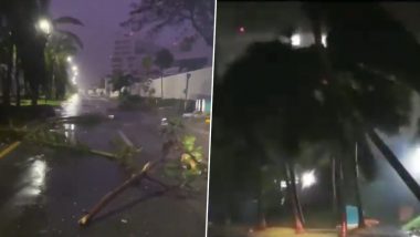 Hurricane Delta Scary Videos: Netizens Share Clips of Strong Winds and Rainfall in Parts of Mexico as Category 4 Storm Weakens and Makes Landfall