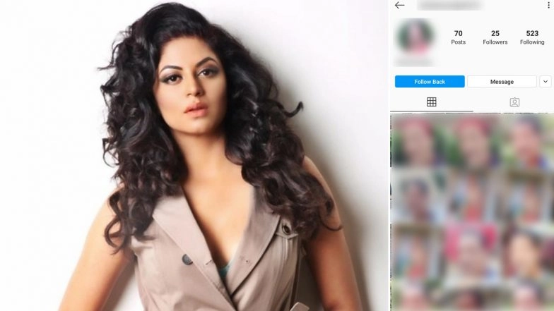Kavita Kaushik Slams An Instagram User Who Sent Her Pics of His Private Parts (View Tweets)