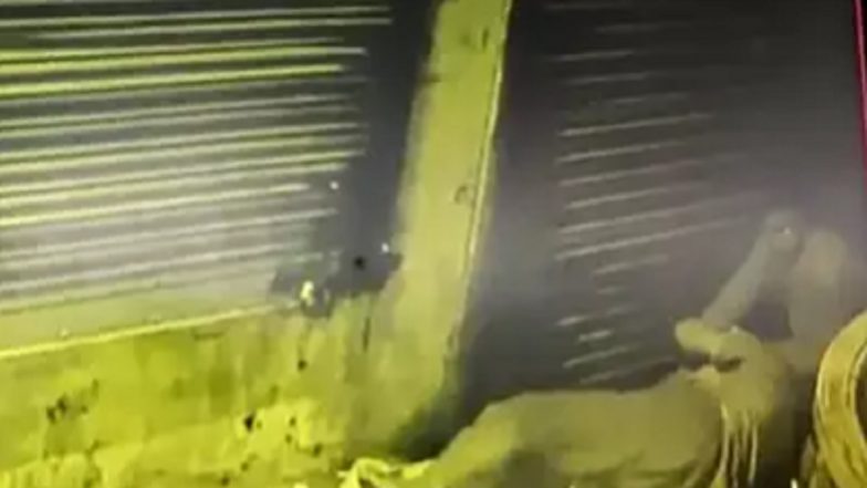 Indore Horror: Woman Murdered While Sleeping on Pavement, CCTV Video Footage Goes Viral