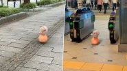 Micro Pig Pinky Who Went Viral For Balancing on a Ball at Tokyo Station is Not Real But a Virtual Pet! Check Her Other Similar CGI Videos of The Cute Real-Looking Animal