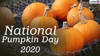 National Pumpkin Day 2020 Date And Significance: Know The History of the Observance That Celebrates People's Favourite Autumn Food & Decoration