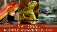 National Reptile Awareness Day 2020 Date: Know History and Significance of The Day Focusing on Conservation of Cold-Blooded Animals