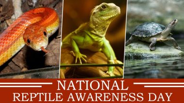 National Reptile Awareness Day 2020 Date: Know History and Significance of  The Day Focusing on Conservation of Cold-Blooded Animals | 🙏🏻 LatestLY