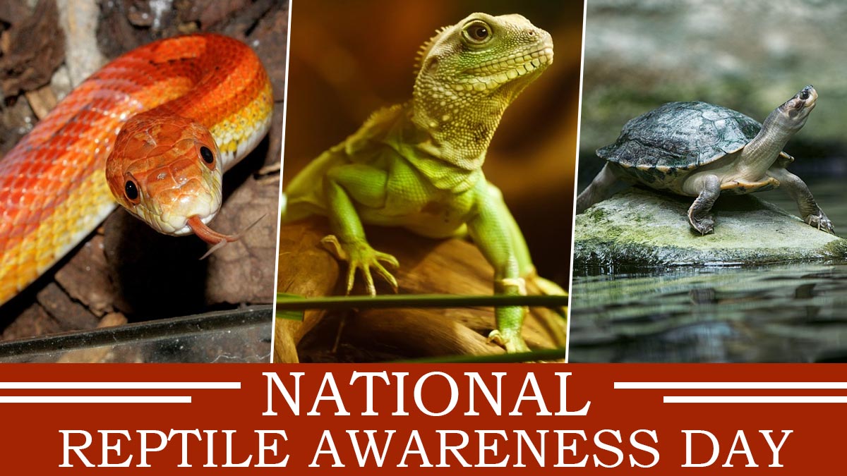 National Reptile Awareness Day 2020 Date Know History and Significance