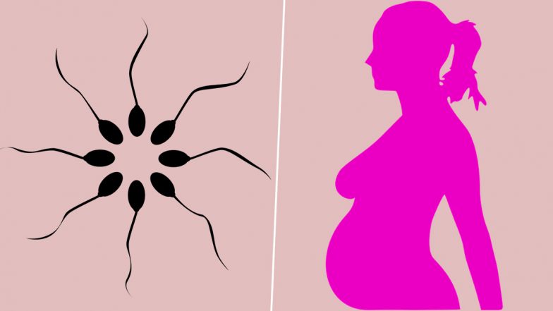 Pfizer, Moderna COVID-19 Vaccines Do Not Lower Sperm Counts: Study