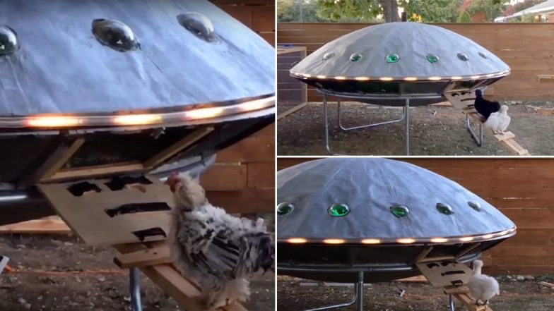 Video of UFO Shaped Chicken Coop is Going Viral Again! From 'Eggsraterestials' to 'Close Hencounters' Netizens Come Up With The Best Punny Reactions