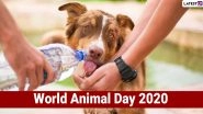 World Animal Day 2020: From Volunteering to Adopting, 5 Doable Ways to You Can Improve Animals&rsquo; Lives and Make Earth a Better Place for Them!
