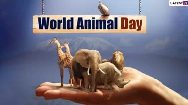 World Animal Day 2020 Date and Significance: Know History and Celebrations of The Day That Promotes Animal Welfare Movement