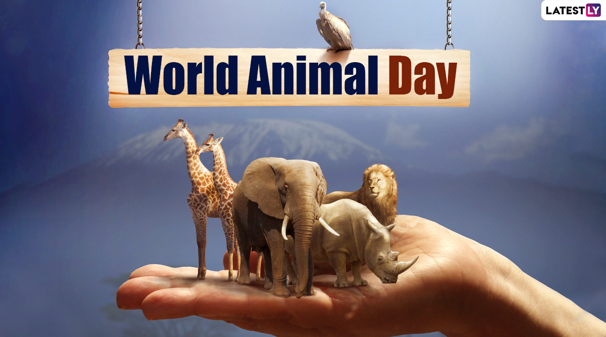 World Animal Day 2020 Date and Significance: Know History and Celebrations  of The Day That Promotes Animal Welfare Movement | 🙏🏻 LatestLY