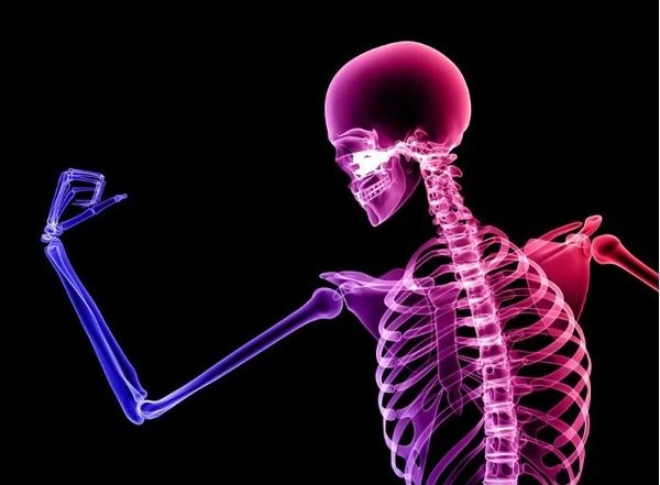 Researchers Discover Artificial Bone Coating to Avoid Secondary Surgical Procedure