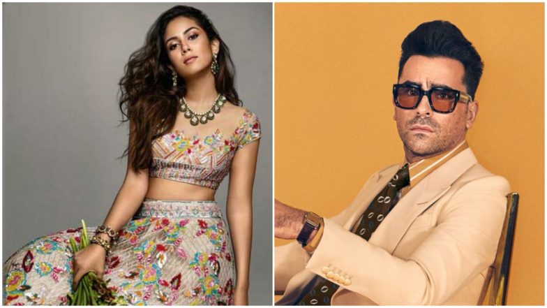 Mira Rajput Says Dan Levy Is Her New Crush as She Praises Emmy-Winning Schitt's Creek