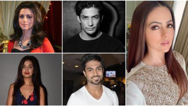 Sana Khan Quits Showbiz: Muzamil Ibrahim, Ridhi Dogra, Divya Agarwal, Salman Yusuff Khan Support Former Bigg Boss Contestant