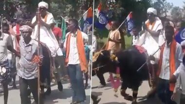 Bihar Assembly Elections 2020: Candidate From Patna's Paliganj Takes Out Rally on 'Bull' Before Filing Nomination (Watch Video)