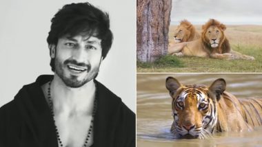 Vidyut Jammwal Collaborates With Discovery to Promote Tiger Conservation Movement, Actor Treat Fans With Kalaripayattu Moves (Watch Video)