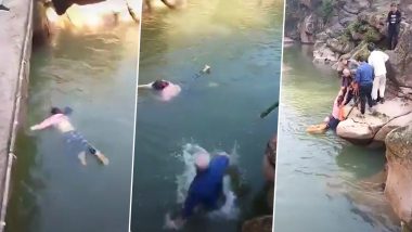 British Diplomat Stephen Ellison, 61, Jumps Into Swollen River to Save Drowning Woman in China's Zhongshan (Watch Video)