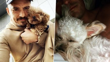 Orlando Bloom Welcomes New Puppy into the Family After Losing Mighty (See Pics)