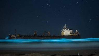 Bioluminescent Bloom! Radiant Blue Waves Dazzle Surathkal Beach in Mangalore, Netizens in Awe of Sparkles in the Sea (Pics & Videos Go Viral)