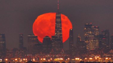 Hunter’s Blue Moon 2020 Pics & Videos: Check out Breathtaking Photos of the Mysterious Halloween Full Moon Going Viral on Twitter
