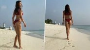 Disha Patani's a Beach Bum and Her New Pictures from Maldives Holiday are Proof