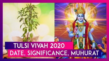 Tulsi Vivah 2020: Date, Significance, Shubh Muhurat Of The Ceremonial Tulsi Marriage Rituals Celebrated Post Diwali