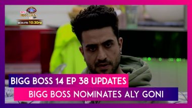 Bigg Boss 14 Episode 38 Updates | Nov 24 2020: Bigg Boss Nominates Aly Goni