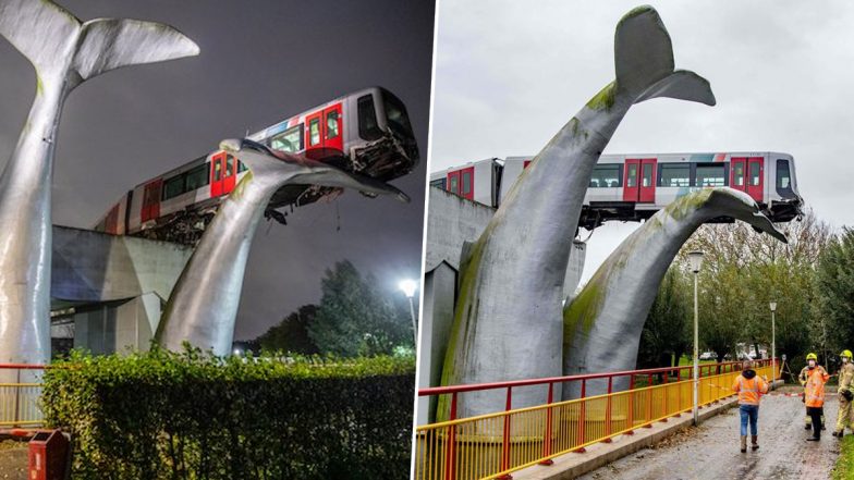 Whale of a Tale! Metro Train Driver Was ‘Saved by The Whale’s Tail’ in Netherlands After the Sculpture Stopped the Vehicle From Crashing Into Water, See Pics & Videos
