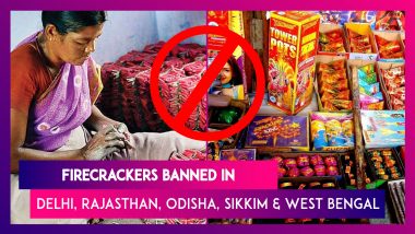 Firecrackers Banned In Delhi, Rajasthan, Odisha, Sikkim And West Bengal; Tamil Nadu Govt Appeals Against Ban As State Houses Fireworks Factories