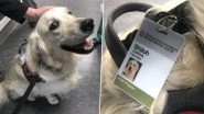 Ohio State University&rsquo;s Medical Center Hires Cute Doggo As Employee Only to Greet Co-workers, Netizens Share Photos of Their Fur Colleagues Making Work Even More Fun (View Viral Pics)