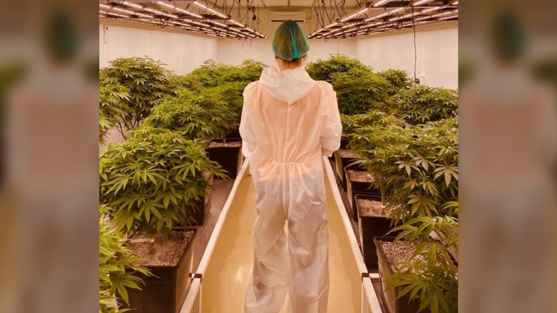 How South Africa’s TITI Medical Revolutionizes the Concept of Medical Cannabis