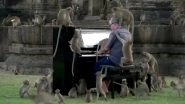 Paul Barton, British Pianist Calms Thailand&rsquo;s Restless and Hungry Monkeys With His Melodious Tunes, Viral Video Will Soothe You Too!