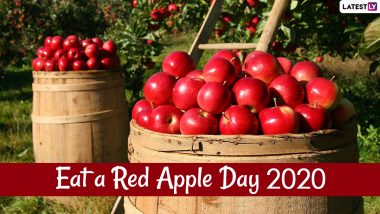 National Eat A Red Apple Day (December 1st)