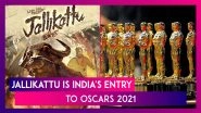 Jallikattu Is India's Entry To Oscars 2021; Here&rsquo;s All You Need To Know About Lijjo Jose Pellissery&rsquo;s Malayalam Film