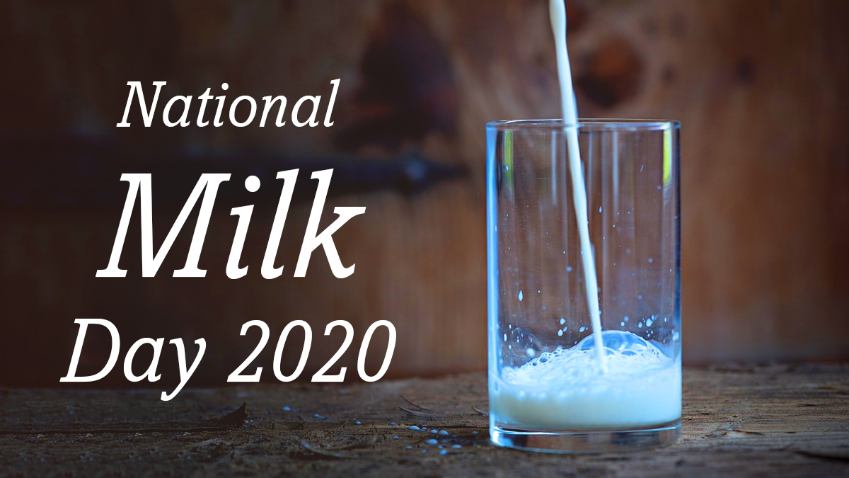 Festivals & Events News | National Milk Day 2020 in India: All ...