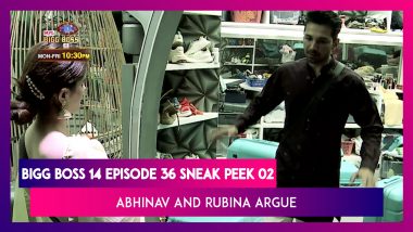 Bigg Boss 14 Episode 36 Sneak Peek 02 | Nov 20 2020: Abhinav and Rubina Conflict During Captaincy Task