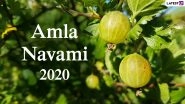 Amla Navami 2020 Date, Puja Muhurat and Shubh Tithi: Know History, Significance, Puja Vidhi and More to Celebrate Akshaya Navami