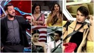 Bigg Boss 14 Weekend Ka Vaar November 8 Episode: Salman Khan Calls Out Pavitra Punia and Nikki Tamboli, Naina Singh Gets Eliminated - 5 Highlights of BB14