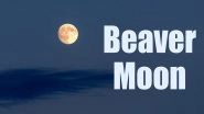 Beaver Moon 2020 Date: All You Need to Know About The Full Moon of November That Forms a Penumbral Lunar Eclipse