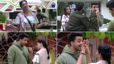 Bigg Boss 14: Captain Kavita Kaushik Demands Aly Goni’s Eviction After He Gets Aggressive and Violent With Her (Watch Video)