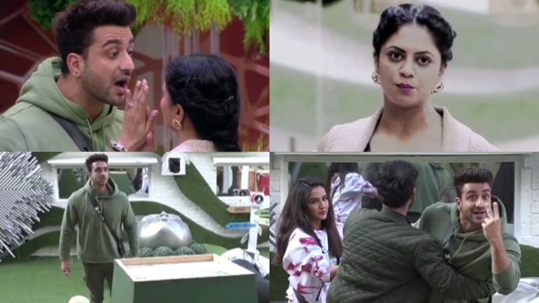 Bigg Boss 14 November 24 Episode: Aly Goni Pays a Huge Prize for Getting Violent Towards Captain Kavita Kaushik – 6 Highlights of BB 14