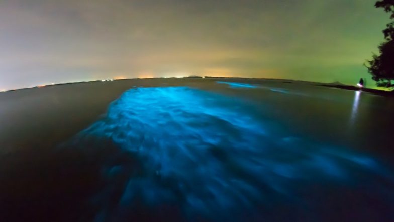 Sea Blooms Blue! Beautiful Pics of Bioluminescence Sighted on Indian Beaches